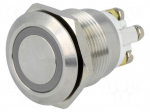 Switch: vandal resistant | Pos: 2 | SPST-NO | 2A/36VDC | IP65 | OFF-(ON)