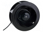 Fan: AC | radial | 230VAC | &Oslash;225x99mm | 1190m3/h | 69dBA | ball bearing