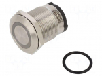 Switch: vandal resistant | Pos: 2 | SPST | 10A/24VDC | IP65 | OFF-(ON)