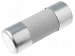 Fuse: fuse | gR | 100A | 690VAC | ceramic,cylindrical,industrial