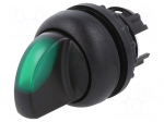Switch: rotary | 22mm | Stabl.pos: 3 | green | M22-FLED,M22-LED | IP67