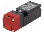 Safety switch: key operated | D4NS | NC + NO | Features: no key | IP67