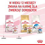 Royal Canin FHN Kitten Instinctive in sauce - wet food for kittens - 12x85g