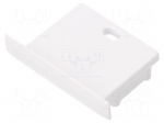 Cap for LED profiles | white | 20pcs | ABS | with hole