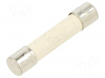 Fuse: fuse | 1A | 250VAC | time-lag | ceramic,cylindrical | 6.3x32mm