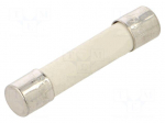 Fuse: fuse | 25A | 250VAC | 125VDC | time-lag | ceramic,cylindrical