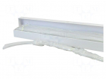 Carrier tape | ESD | 44mm | 250pcs | transparent