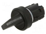 Switch: rotary | 22mm | Stabl.pos: 2 | black | round | Pos: 2