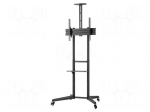 LCD/LED holder | free-standing handle | 50kg