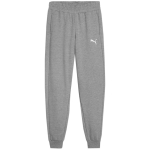 Puma Team Goal Kids' Pants Grey 658601 33 152cm