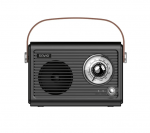 Savio RS-01 Radio