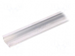 Profiles for LED modules | recessed | natural | L: 2m | aluminium