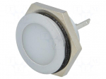 Indicator: LED | flat | 12&divide;14VDC | Cutout: &Oslash;22mm | IP67 | metal