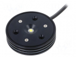 Module: LED | Colour: white cold | 5700K | 342lm | IP54 | CRImin: 70 | 120&deg;