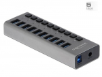 DeLOCK External 5 Gbps USB Hub with 10 Ports + Switch