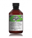 Davines Natural Tech Renewing Shampoo 250 ml