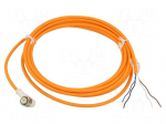 Cable: for sensors/automation | M12 | PIN: 4 | angled | 5m | female