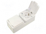 Connector: AC supply | socket | 2P+PE | 250VAC | 16A | white | wall mount