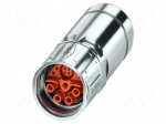 Connector: M23 | plug | PIN: 13 | crimped | SPEEDCON-Lock | straight