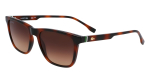 P&auml;ikeseprillid LACOSTE MEESTELE L6041S-214 (L&auml;&auml;ts/Sild/K&otilde;rvaklamber) 54/18/145 mm