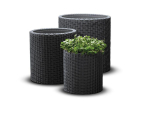 Other small household appliances Keter  KETER Puku podu komplekts Cylinder Planters S+M+L peleks 7290106920453