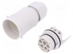 Connector: AC supply | screw terminal | male | 9&divide;12mm | 1&divide;2.5mm2 | 16A