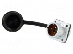 Connector: circular | socket | male | PIN: 6 | IP67 | SF12 | 5A | 125V