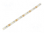 LED tape | white cold | 2835 | LED/m: 96 | 8mm | white PCB | IP65 | 15W/m