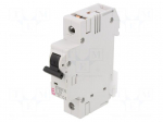 Circuit breaker | 230/400VAC | Inom: 10A | Poles: 1 | Charact: C | 10kA