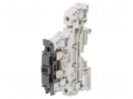 Splice terminal: rail | Entrelec | 300V | for DIN rail mounting