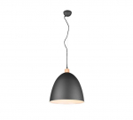 Trio-Lighting Jagger  40 cm E27 matt black piekaramā lampa