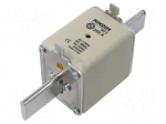 Fuse: fuse | 250A | 500VAC | gG | industrial | NH2