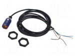 Sensor: photoelectric | straight | Range: 0&divide;500mm | NPN | 100mA | PBT | 2m