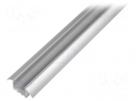 Profiles for LED modules | transparent | recessed | L: 1m | aluminium