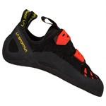 Tarantula black poppy | 43.5