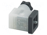 Connector: valve connector | plug | industrial | form C | female | IP65