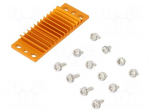 Heatsink: extruded | grilled | BGA | golden | L: 23mm | W: 58mm | H: 6.1mm