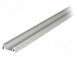 Profiles for LED modules | natural | L: 2m | SURFACE10 | aluminium