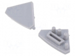 Cap for LED profiles | silver | 10pcs.
