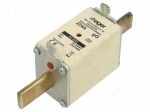 Fuse: fuse | 224A | 690VAC | gG | industrial | NH1