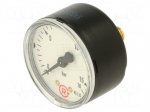 Manometer | 0&divide;16bar | rear connection | Thread: G 1/4" | 50mm | metal