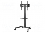 LCD/LED holder | free-standing handle | 35kg
