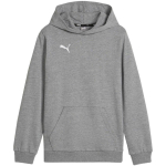 Puma Team Goal Casuals Hoddy Sweatshirt Grey 658619 33 140cm
