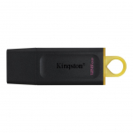Flash drive Kingston  MEMORY DRIVE FLASH USB3.2/128GB DTX/128GB
