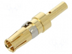 Contact | female | copper alloy | gold-plated | 20AWG&divide;16AWG | crimped
