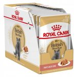 ROYAL CANIN British Shorthair  - wet cat food - 12 x 85g