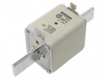 Fuse: fuse | 300A | 500VAC | gG | industrial | NH2