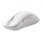 Computer mouse Asus  MOUSE USB OPTICAL WRL MD102/WHITE 90XB0900-BMU000