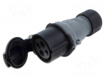 Connector: AC supply 3-phase | plug | female | 16A | 500VAC | IP&S | IP44