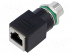 Connector: M12 | socket | PIN: 4 | EPIC&reg; | straight | for panel mounting